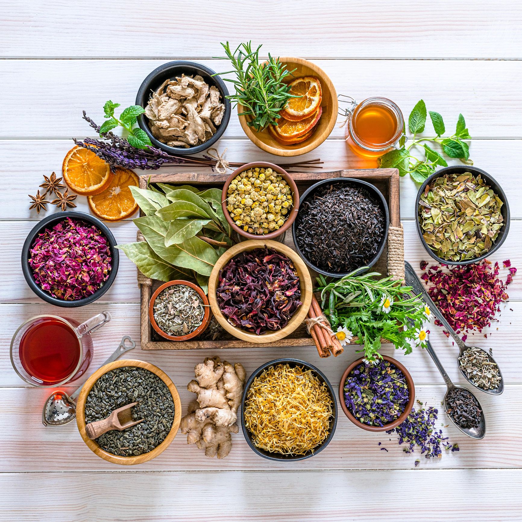 Assortment of dried herbs and flowers for wellness tea